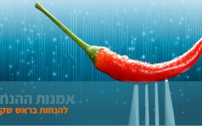 הנחית קבוצות על קצה המזלג – כמה דברים שכדאי לדעת על קבוצה מונחית