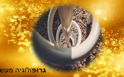 מה נחוץ כדי להנחות את הסדנה הראשונה? התנסות: נאה דורש – נאה מקיים.