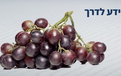 8 קוים מנחים להנחיה אפקטיבית, כשיש לנו עסק עם קבוצות – קבוצה מונחית: כל התורה כולה על רגל אחת