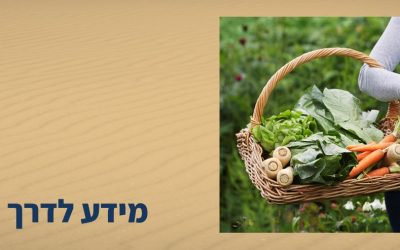 איך לבחור סדנאות, קורסים או קבוצות ולהפיק מהם מקסימום תועלת להצלחת העסק שלך? בת-חן שפירא מתארחת אצל איריס אבידן