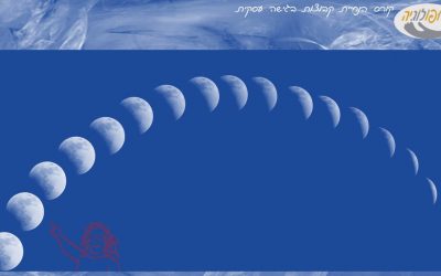 התפתחות קבוצה בשלבים: ערך מתוך לקסיקון קורס הנחיית קבוצות – מא’ עד ת’