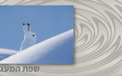 הקשבה בין המילים ומעבר לשורות – לגלות את הסאבטקסט בשיח הקבוצתי